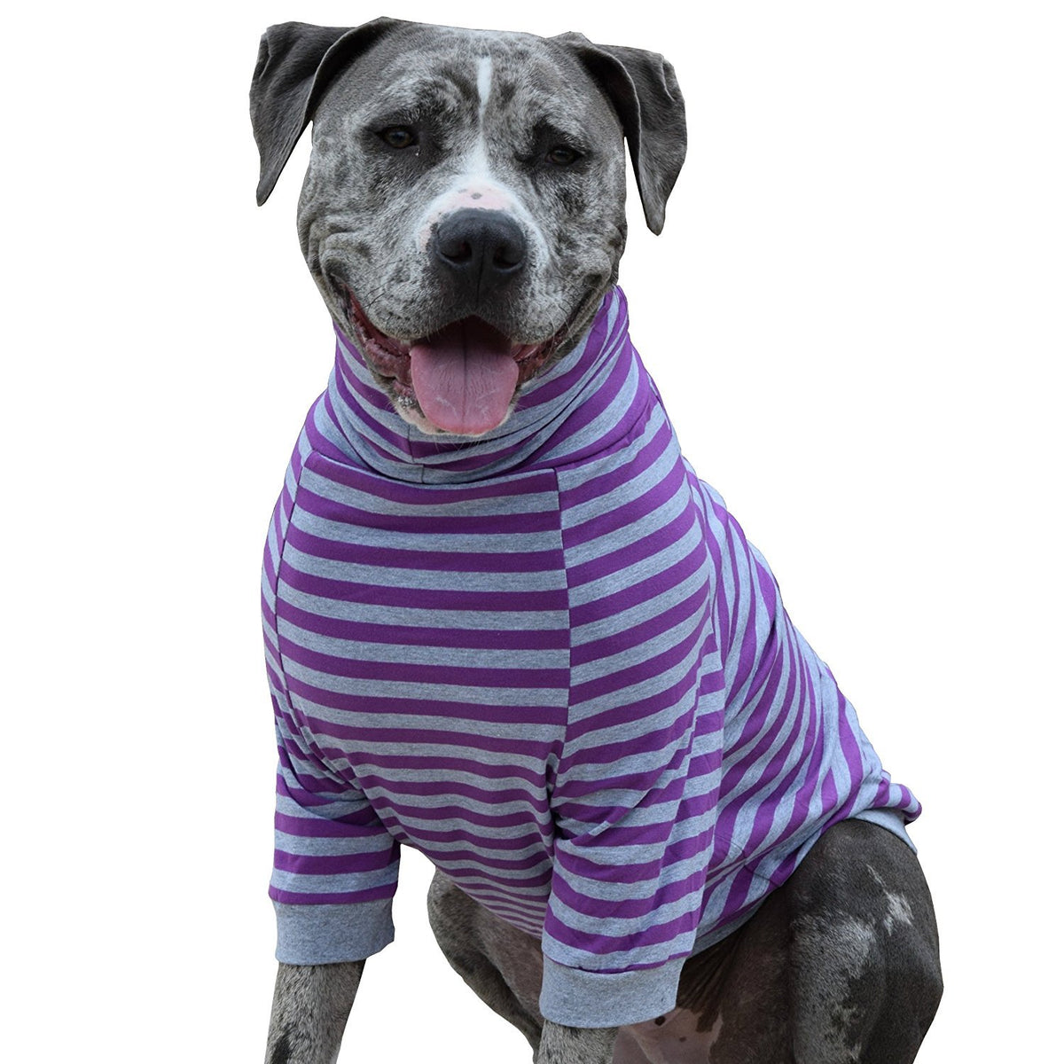 Tooth and Honey big dog stripe pullover purple grey cozy indoor wear