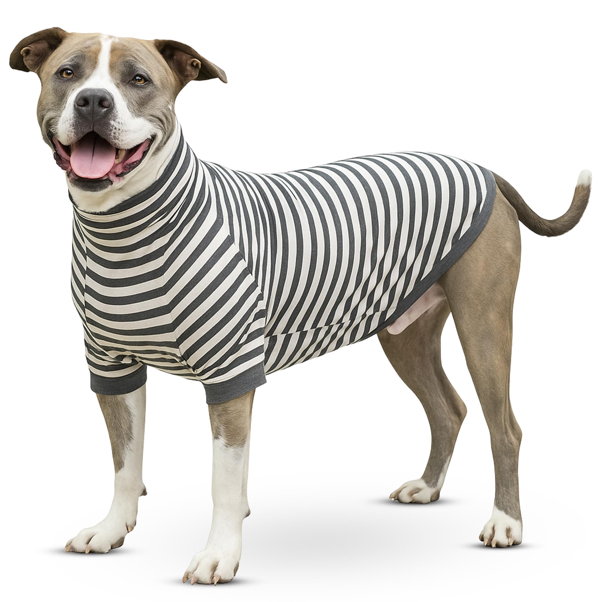 Tooth & Honey camisa para perro con rayas algodón y spandex, ajuste cómodo para paseos.