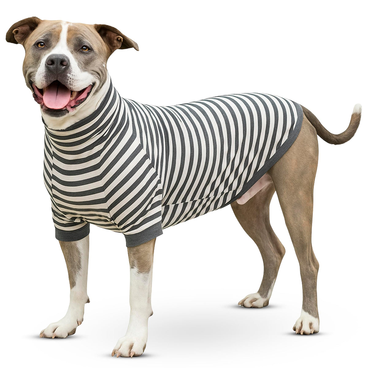 Tooth & Honey camisa para perro con rayas algodón y spandex, ajuste cómodo para paseos.