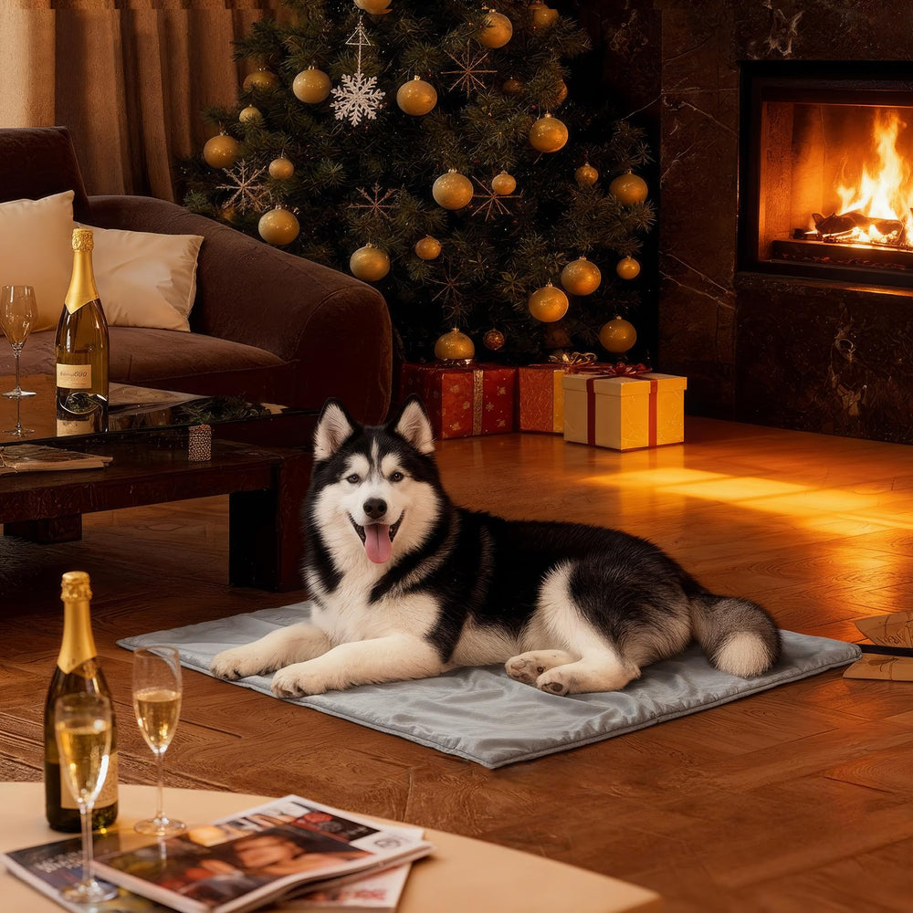 Toozey large heated pet mat placed in a living room for warm naps