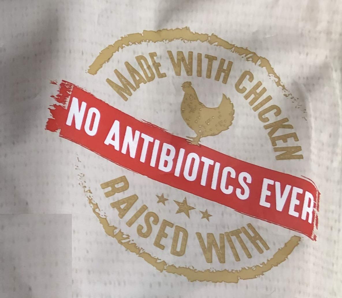 Top Chews chicken jerky dog enjoying a tasty natural reward after play.