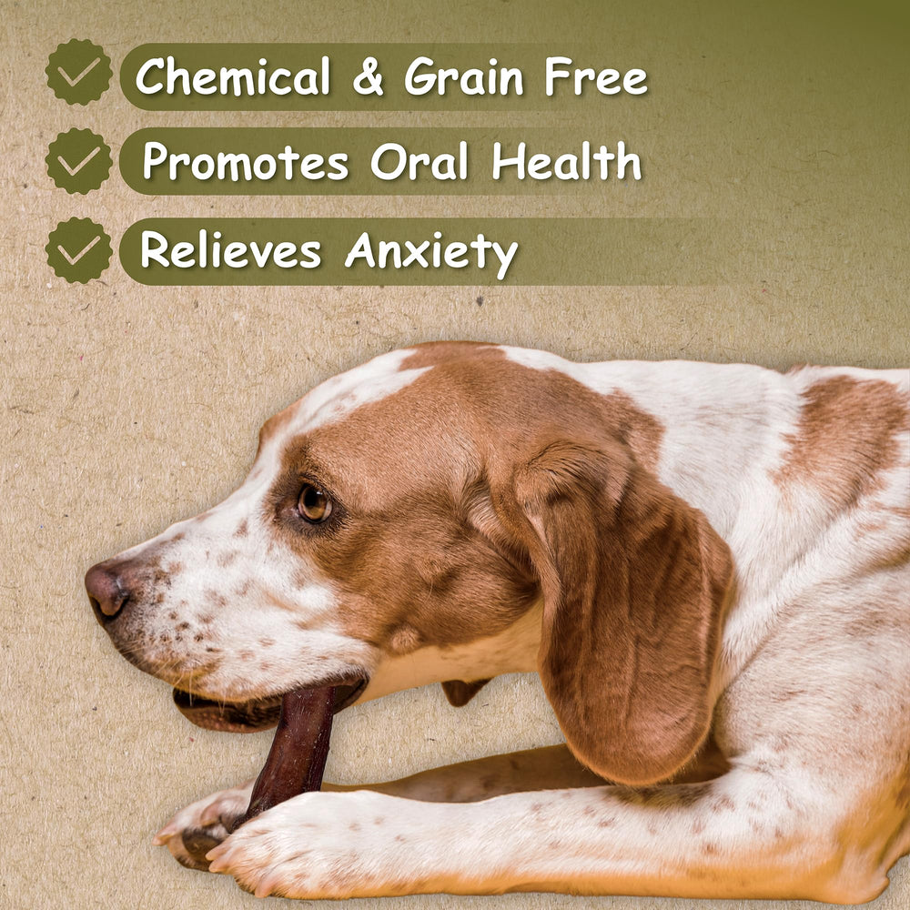 Top Dog Chews 12inch bully stick long-lasting chew for aggressive chewers