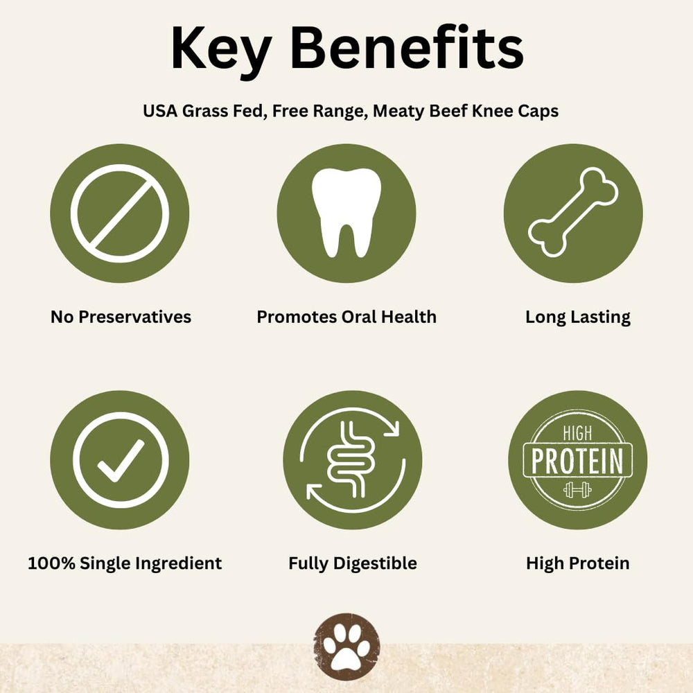 Top Dog Chews beef knee caps dental health benefits close up.