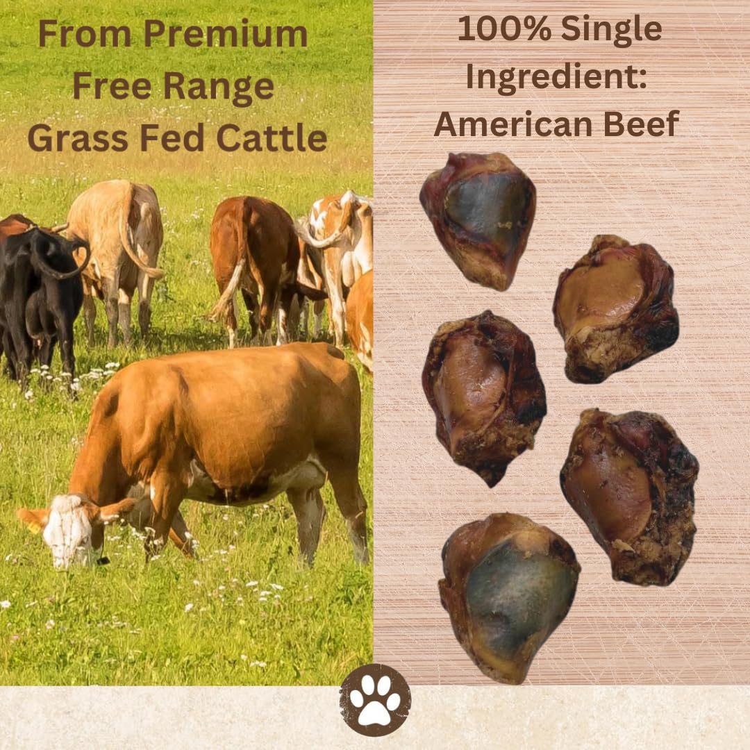 Top Dog Chews beef knee caps long lasting chew for aggressive chewers.