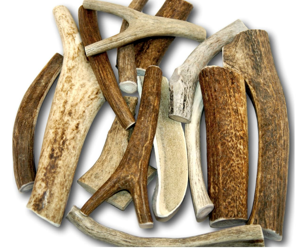 Top Dog Chews 1lb deer antlers premium-grade long-lasting chew for dogs