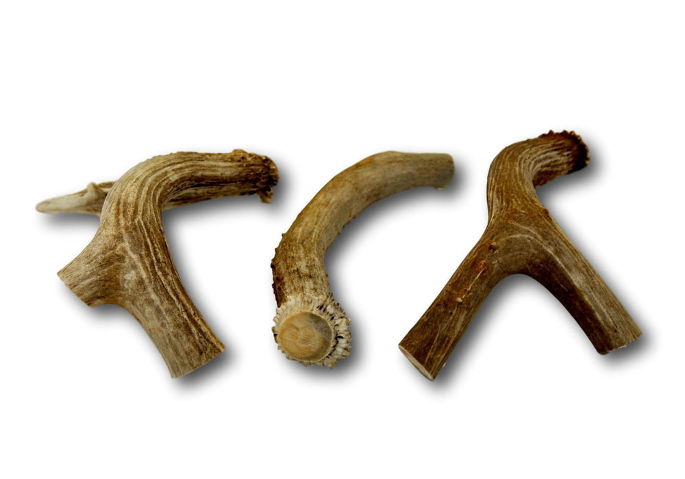 Top Dog Chews 3-pack deer antlers provide value for multi-dog households