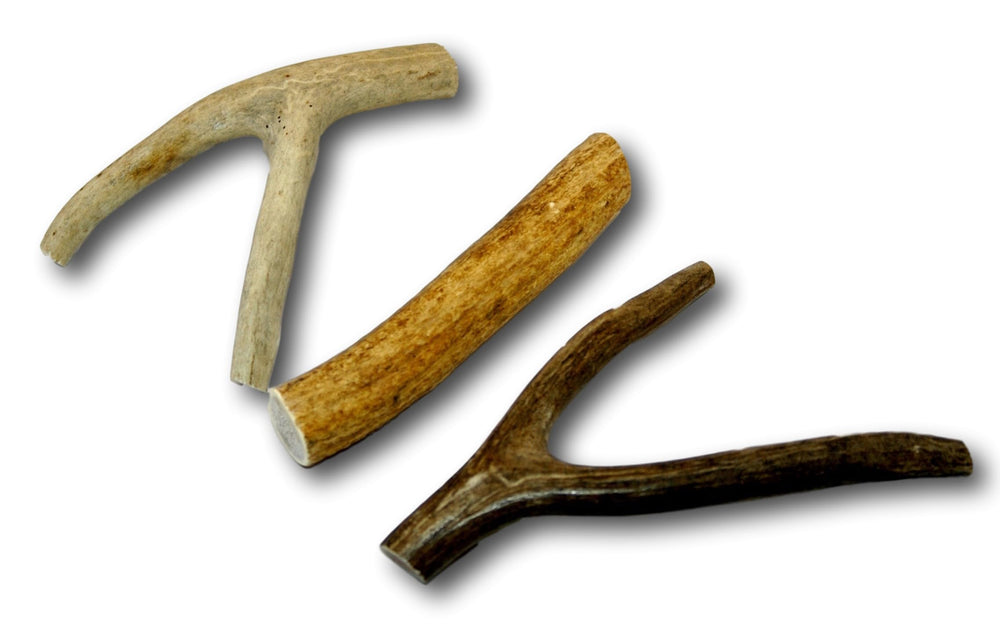 Top Dog Chews deer antlers bio-available nutrients support teeth and overall health