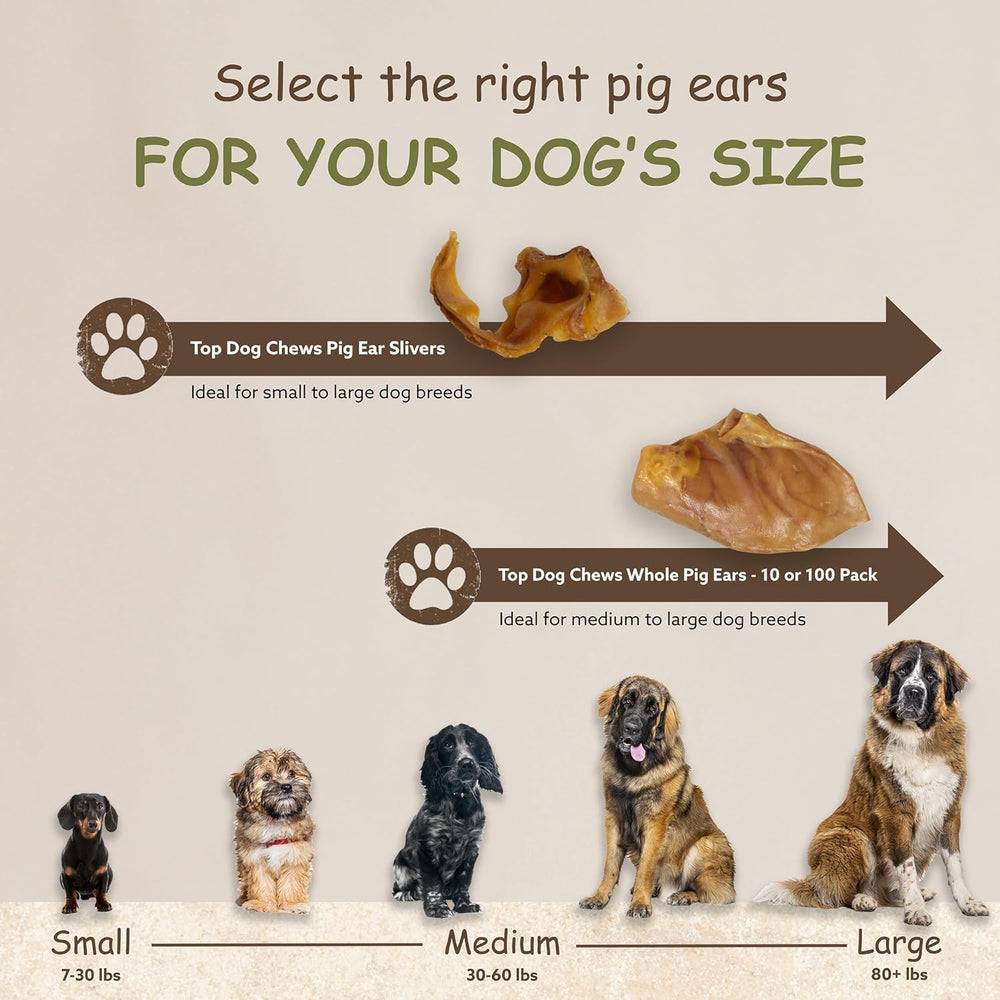 Top Dog Chews dental-friendly pig ears may help reduce tartar