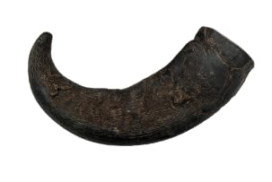 Top Dog Chews dog chew in mouth during play and chew session