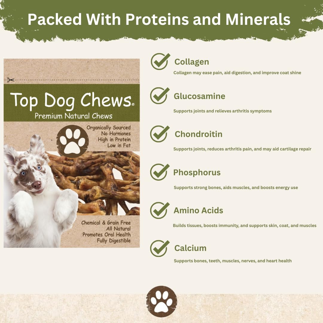 Top Dog Chews dog-chewing-action captures dogs enjoying a protein-rich treat