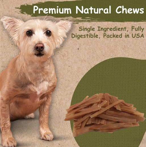 top dog chews flat turkey tendons closeup-texture highlights long-lasting chew