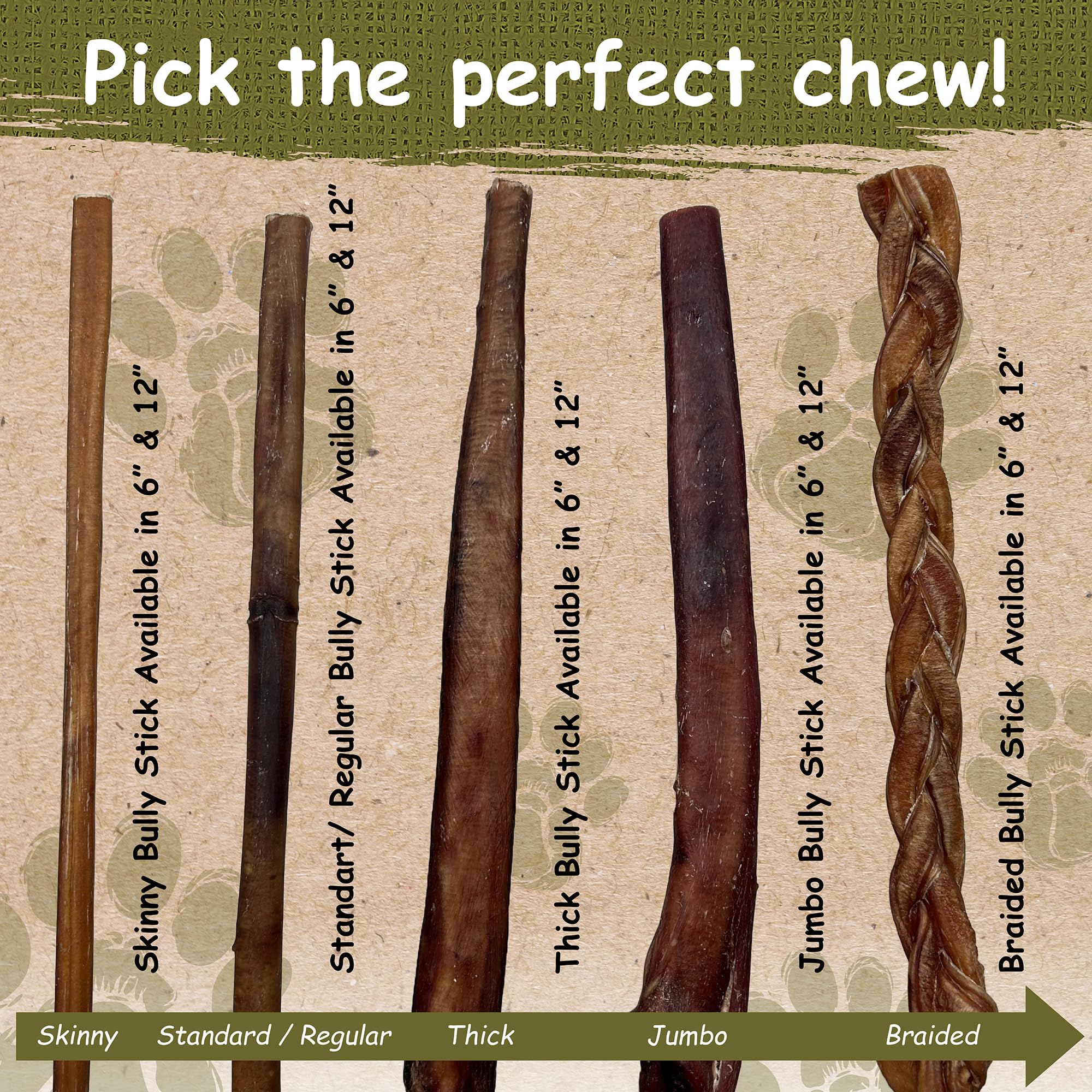 Top Dog Chews thick long-lasting bully stick in use satisfying a dog's chewing