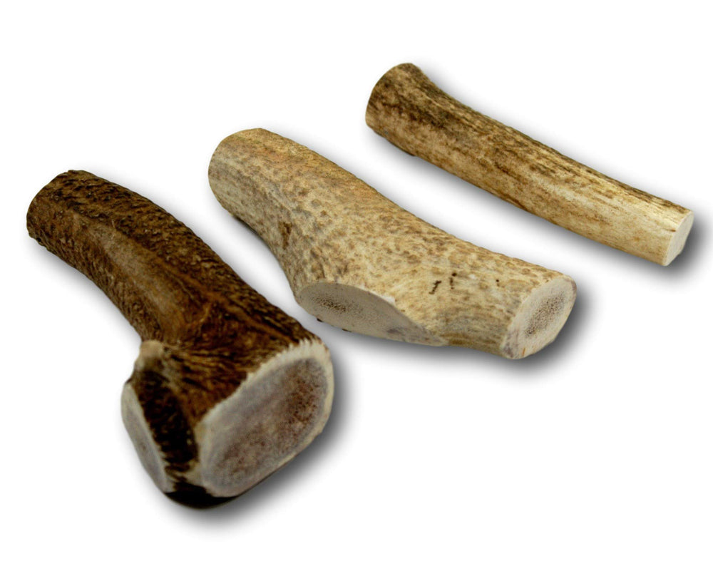 Top Dog Chews natural antlers with no preservatives or hormones