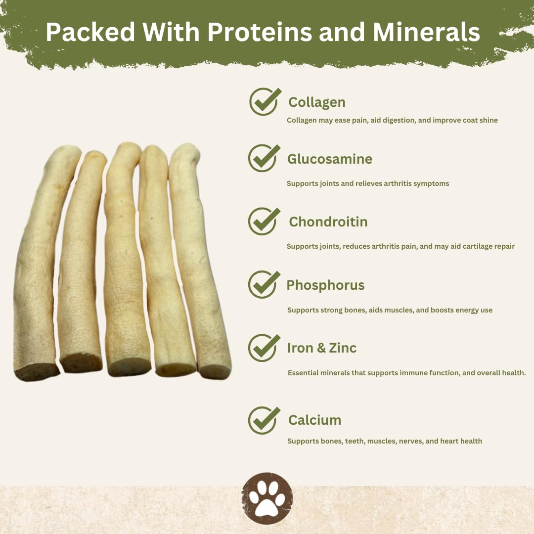 Top Dog Chews ox tail dental closeup hints tartar control potential.