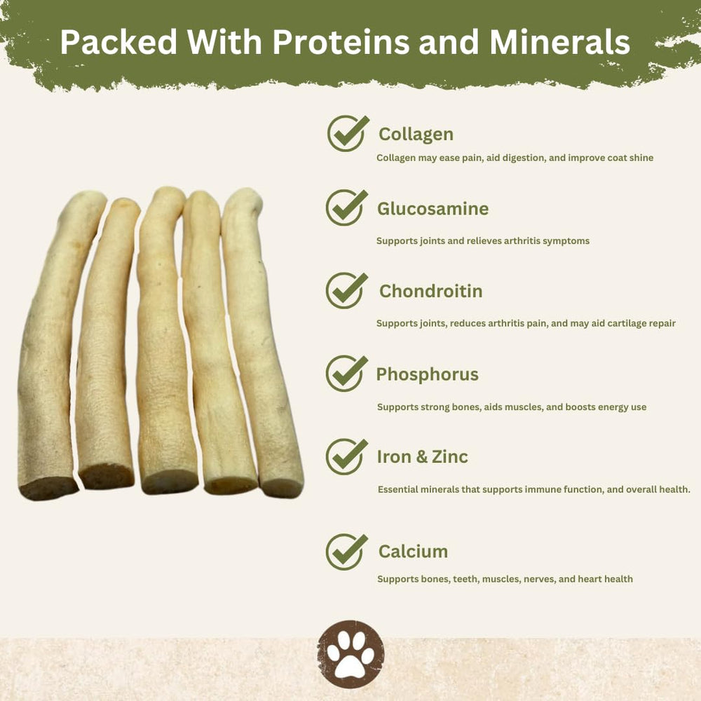 Top Dog Chews ox tail dental closeup hints tartar control potential.