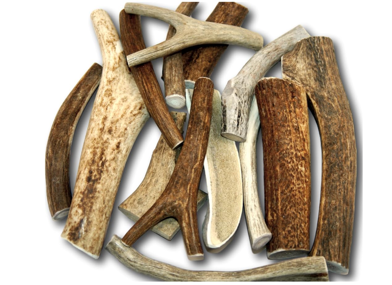 Top Dog Chews premium large antler variety-pack close-up for durable chewing