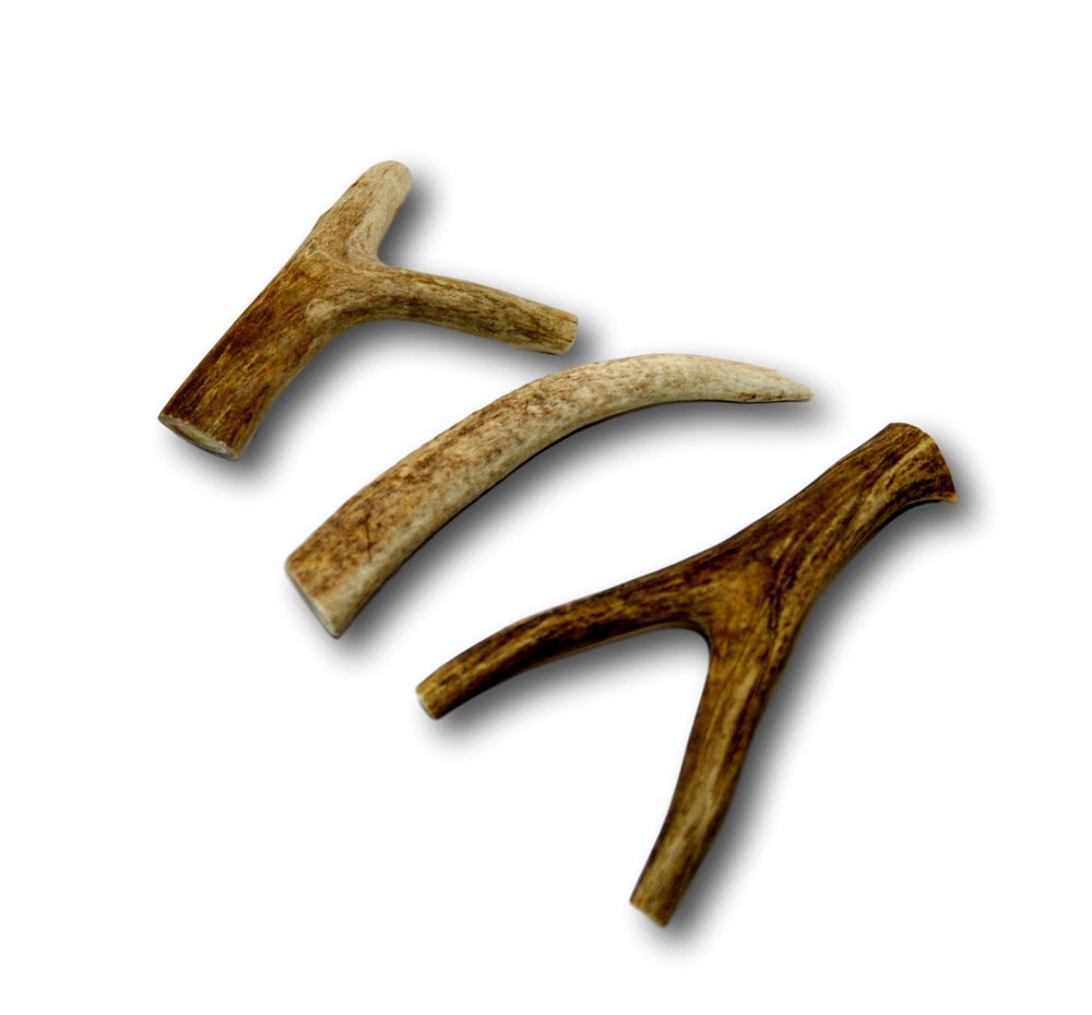 Top Dog Chews USA-sourced deer antlers ethically harvested from free-range deer