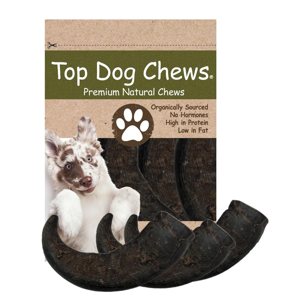 Top Dog Chews Water Buffalo Horn large piece for powerful chewers and long-lasting engagement