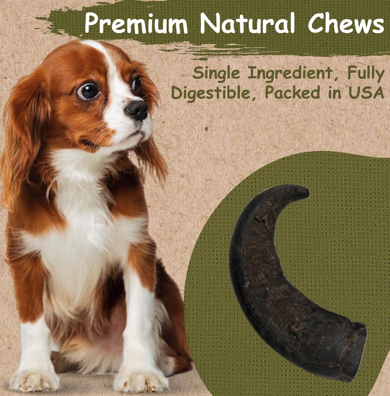 Top Dog Chews Water Buffalo Horn – medium piece for medium dogs and extended nibbling