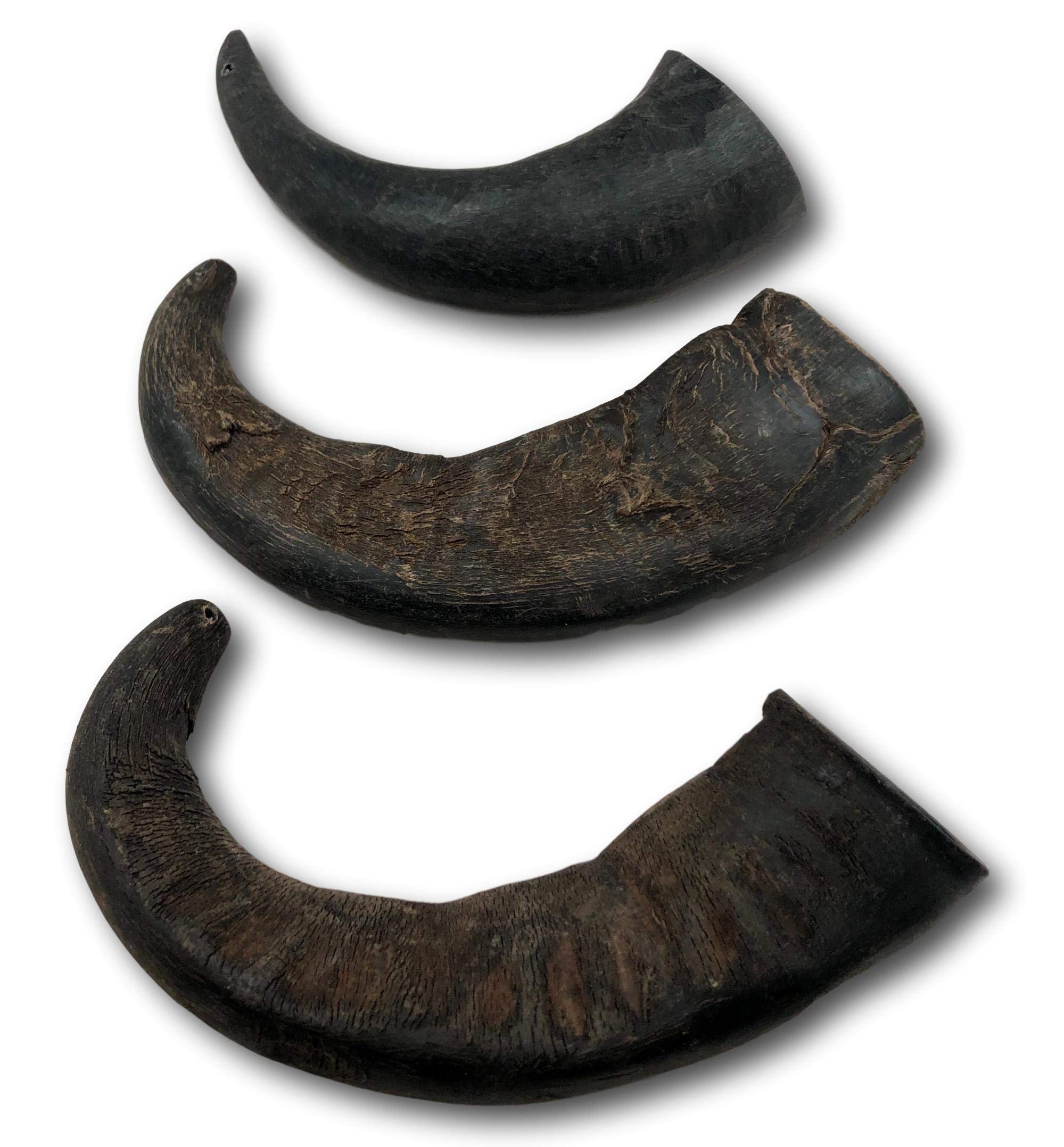 Top Dog Chews Water Buffalo Horn small piece for small dogs and quiet chew sessions