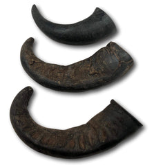 Top Dog Chews Water Buffalo Horn small piece for small dogs and quiet chew sessions