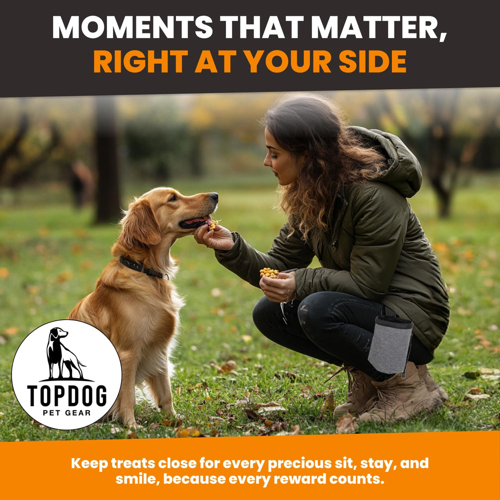 Top Dog Pet Gear durable, easy-clean material for busy-season training.