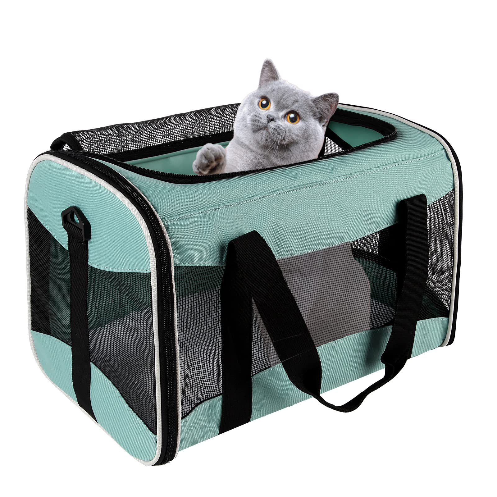 Top tasta cat carrier under-seat design for airline-friendly travel and easy pet access.