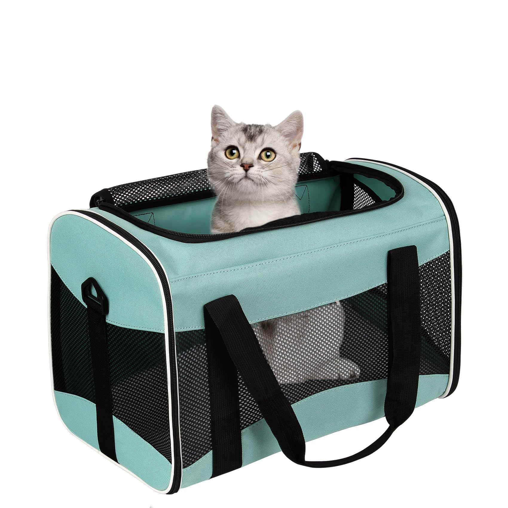Top tasta carrier features anti-escape buckle for secure pet transport
