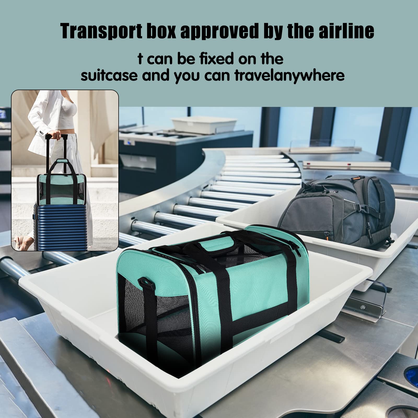 Top tasta collapsible carrier includes detachable wool bed for cozy travel