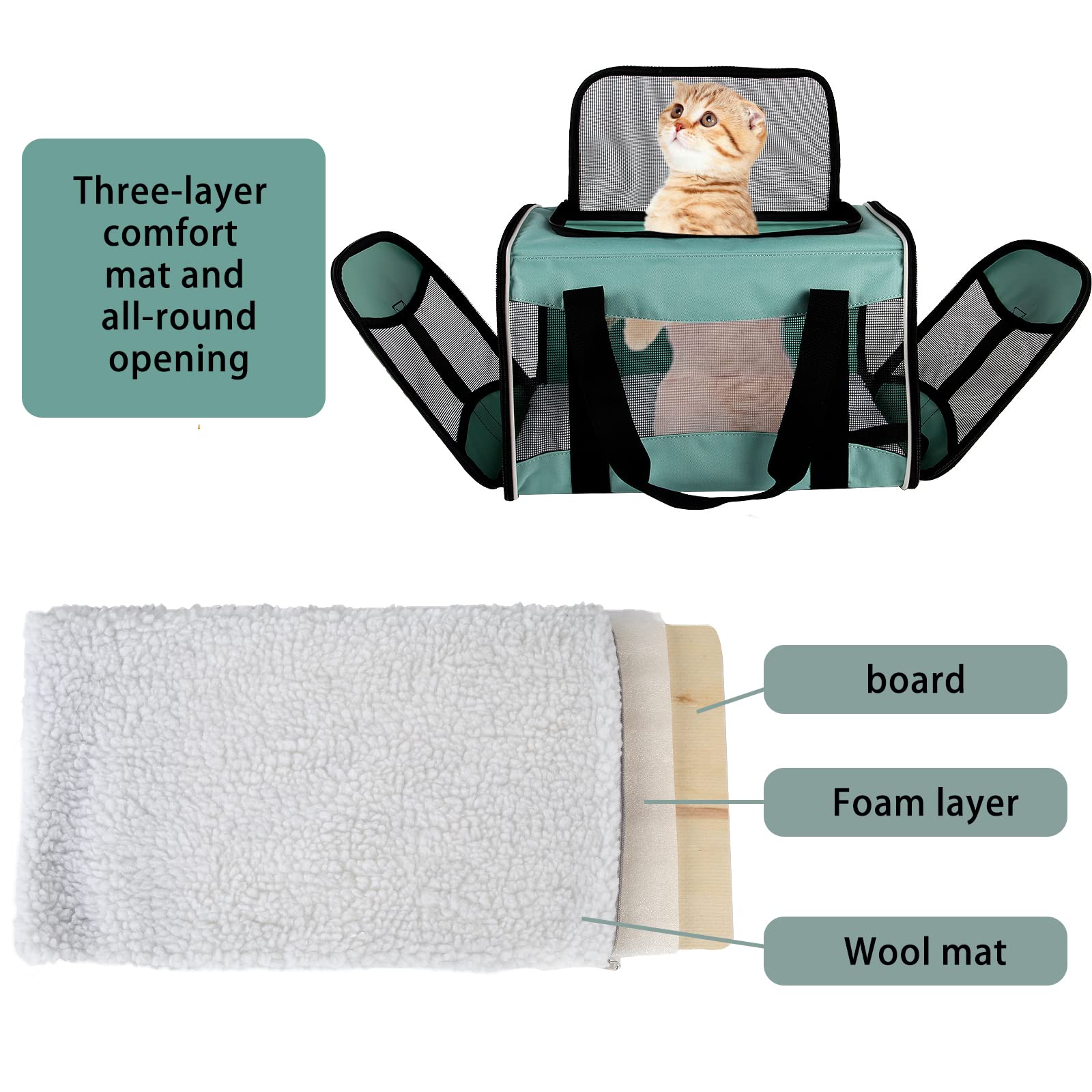 Top tasta cat carrying case side mesh shows breathable design for comfortable airflow