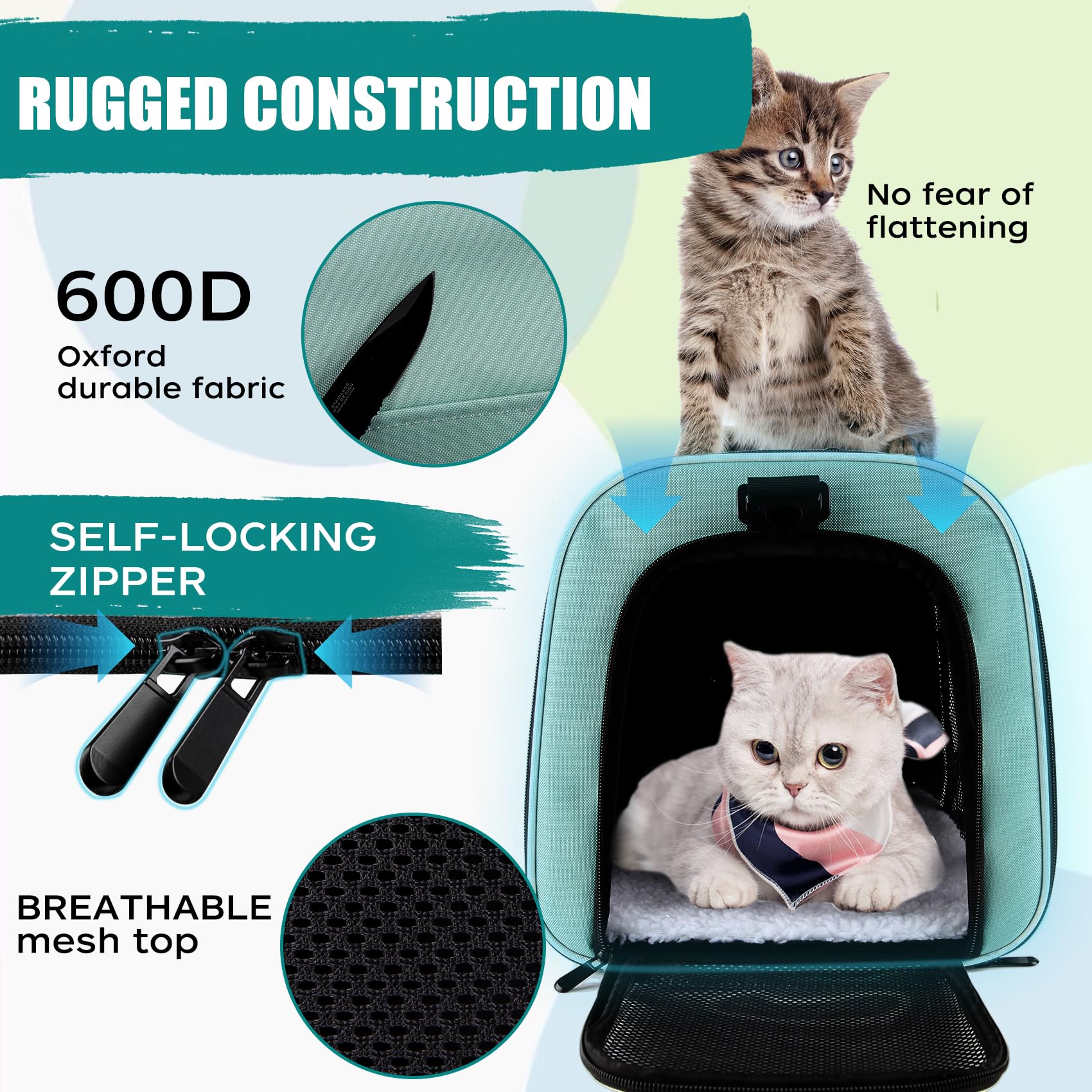 Top Tasta interior view with removable plush mat for cozy travel