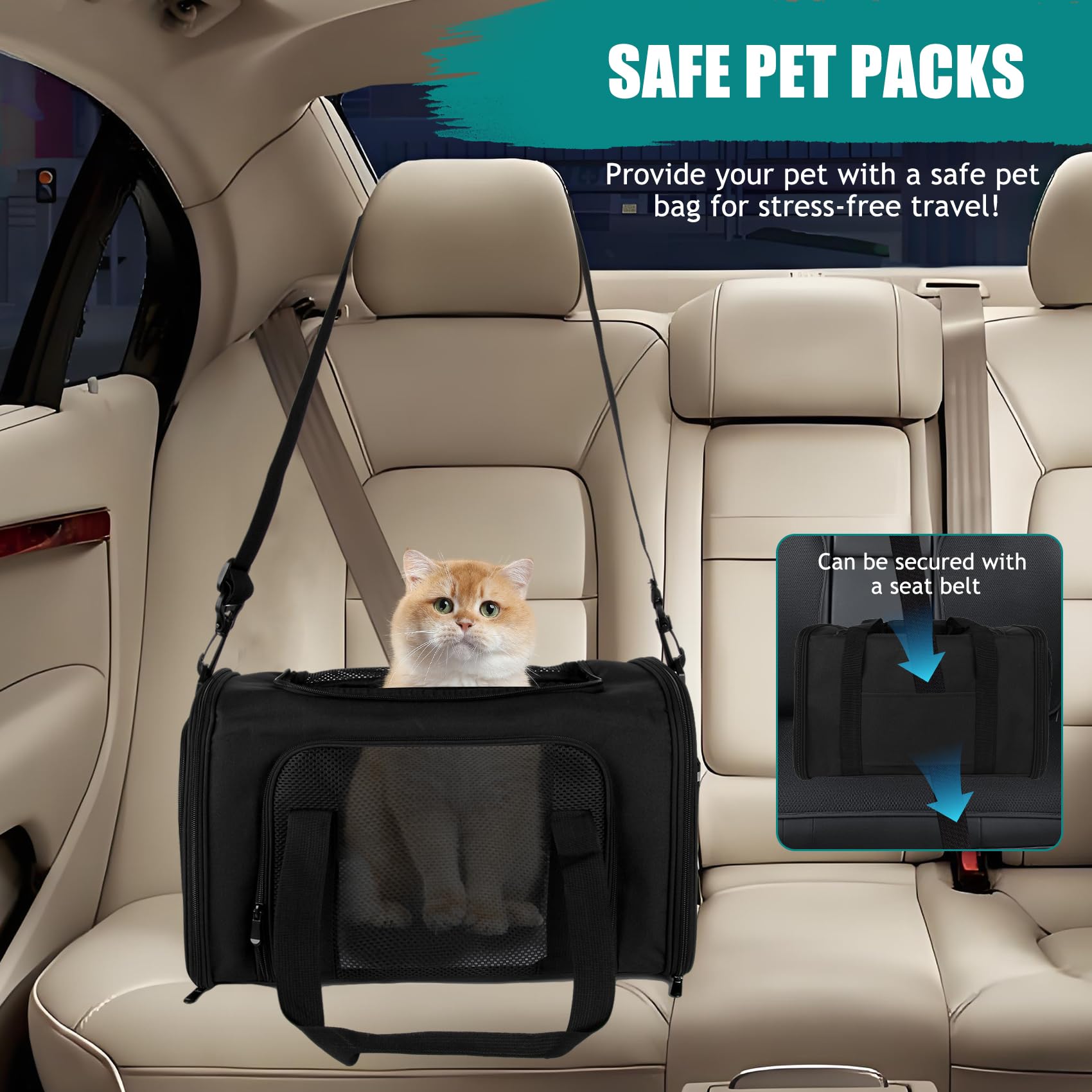 Top tasta airline-approved travel carrier fits under seats