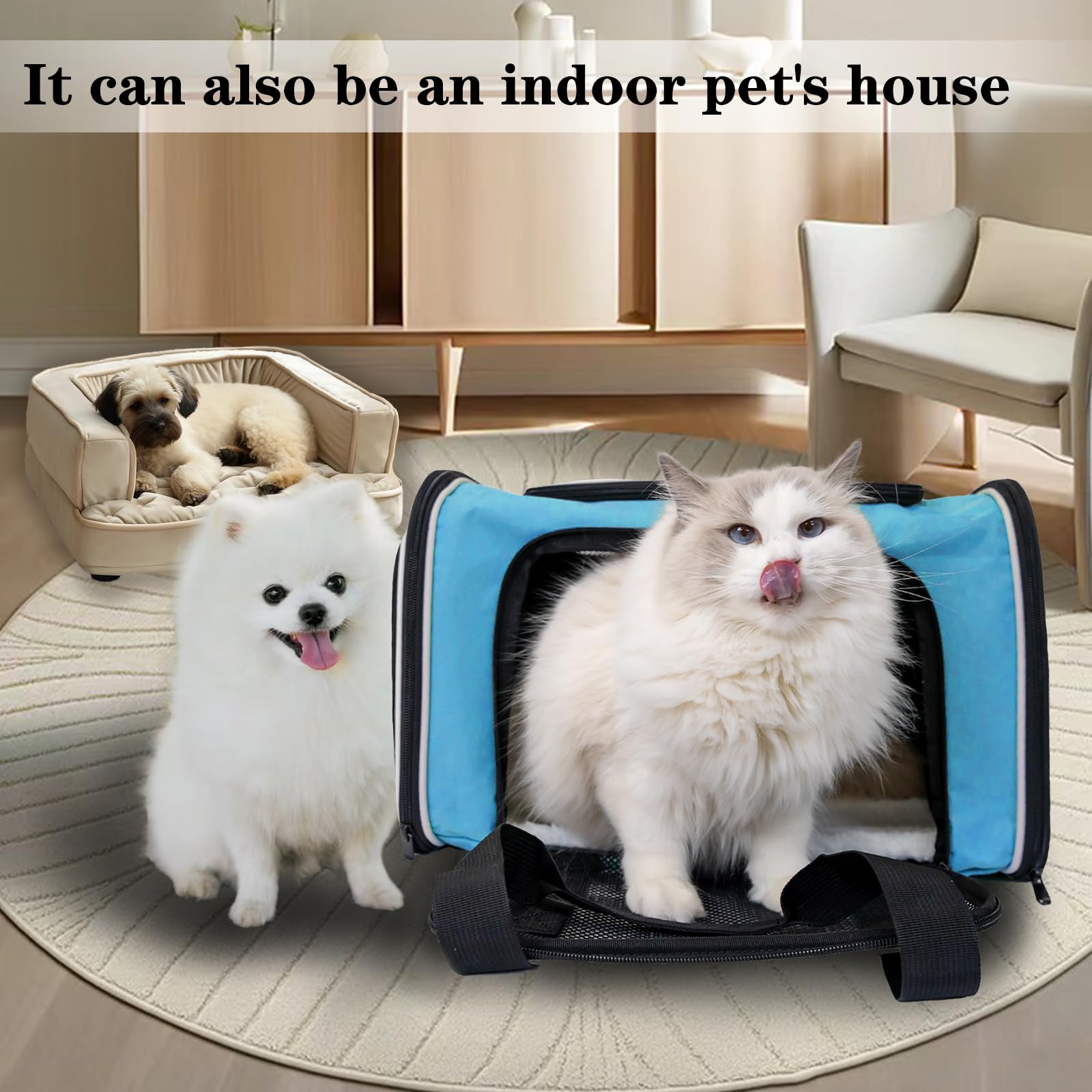 Top tasta dog cat carrier blue medium foldable design, easy portable storage.