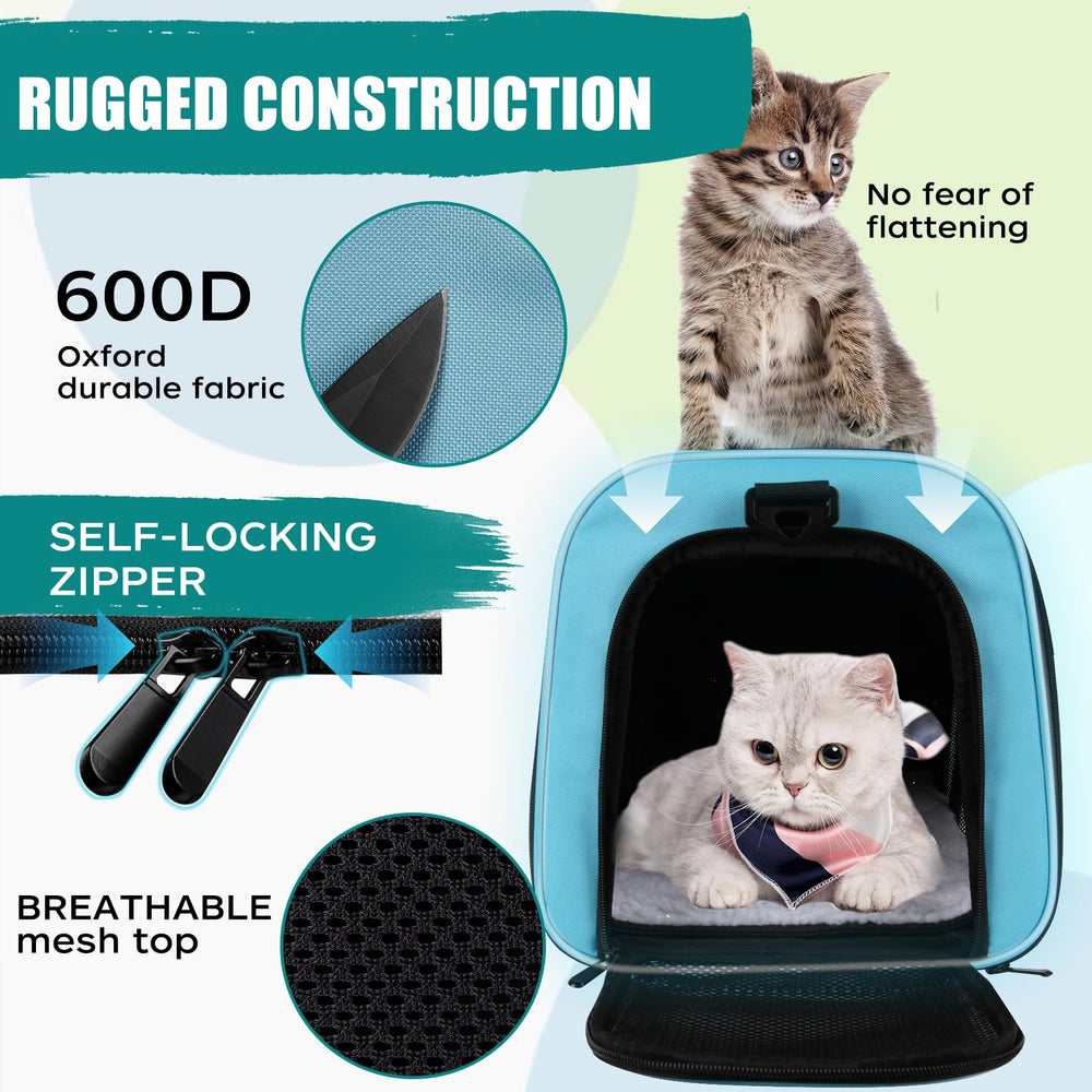 Top tasta dog cat carrier blue medium side view right, reinforced frame and scratch-resistant material.