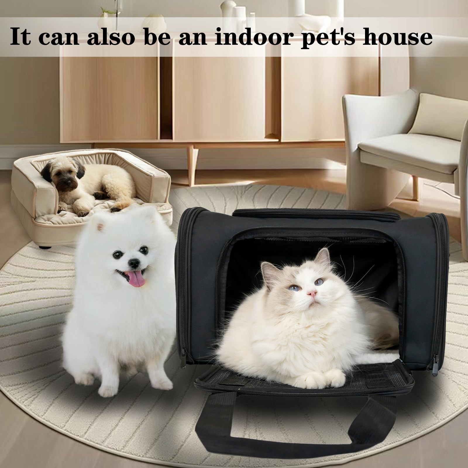 Top tasta medium size 17x11x11 shows versatile pet fit for trips