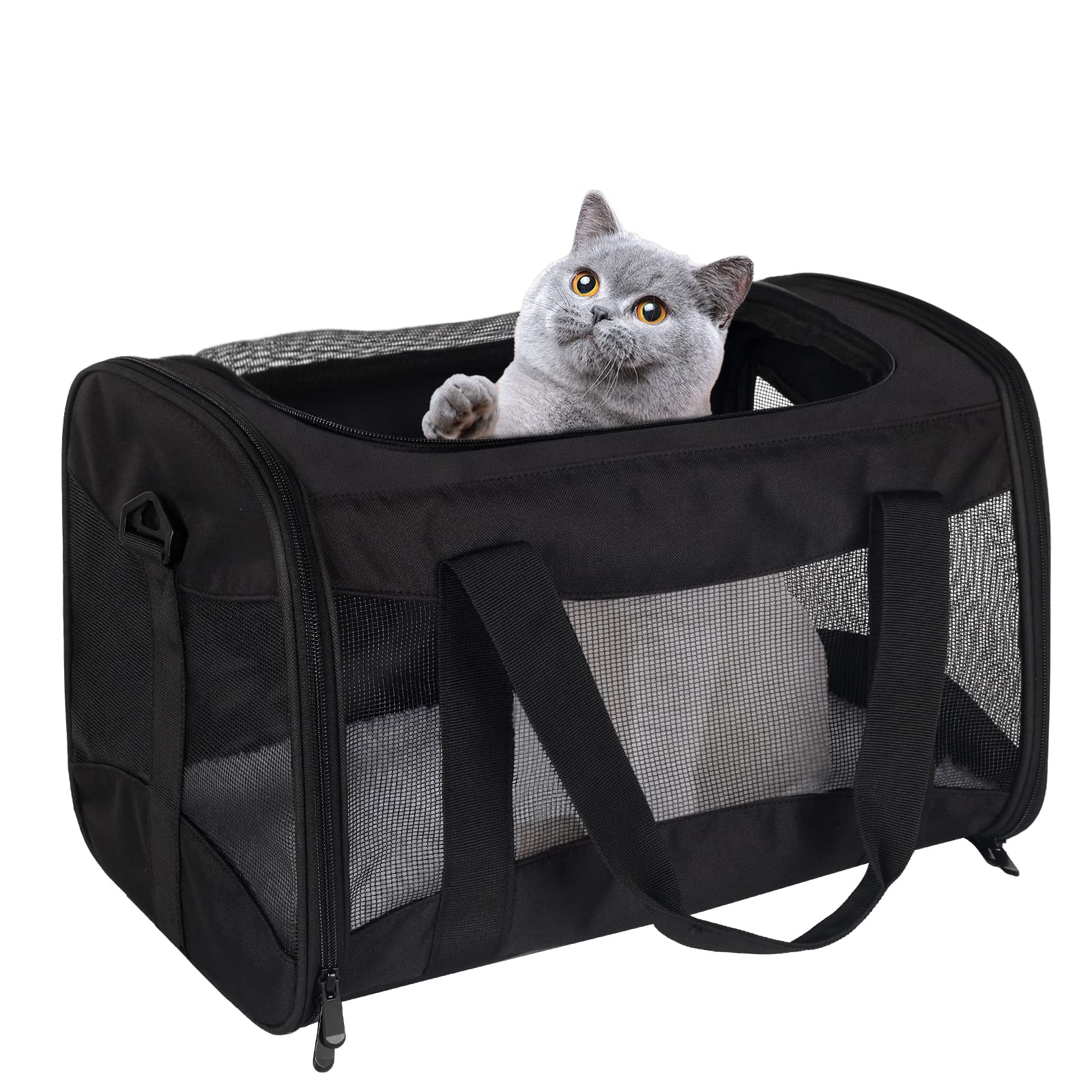 Top tasta folded cat carrier stored flat for compact travel.