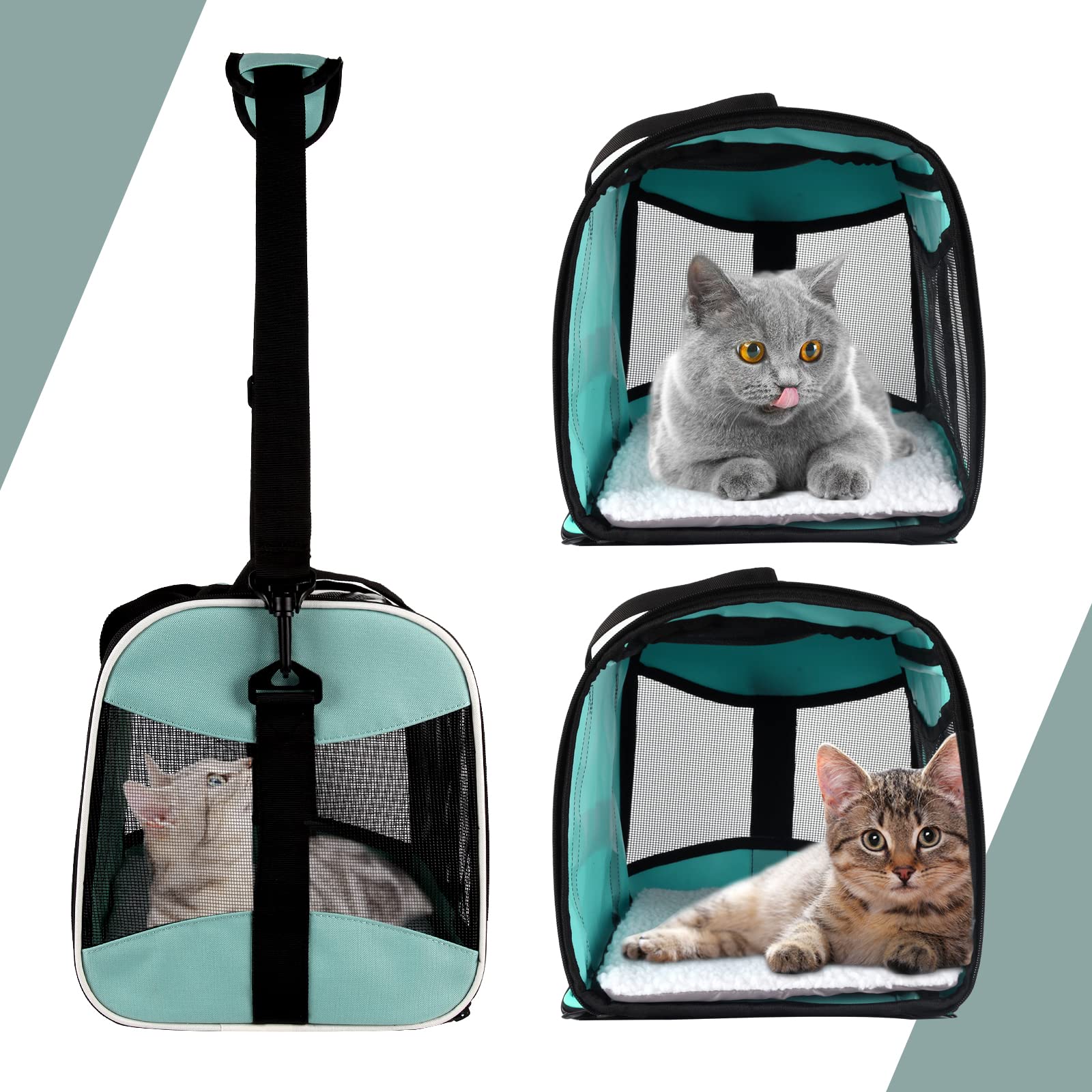 Top tasta pet travel carrier fits under airplane seat, convenient on flights