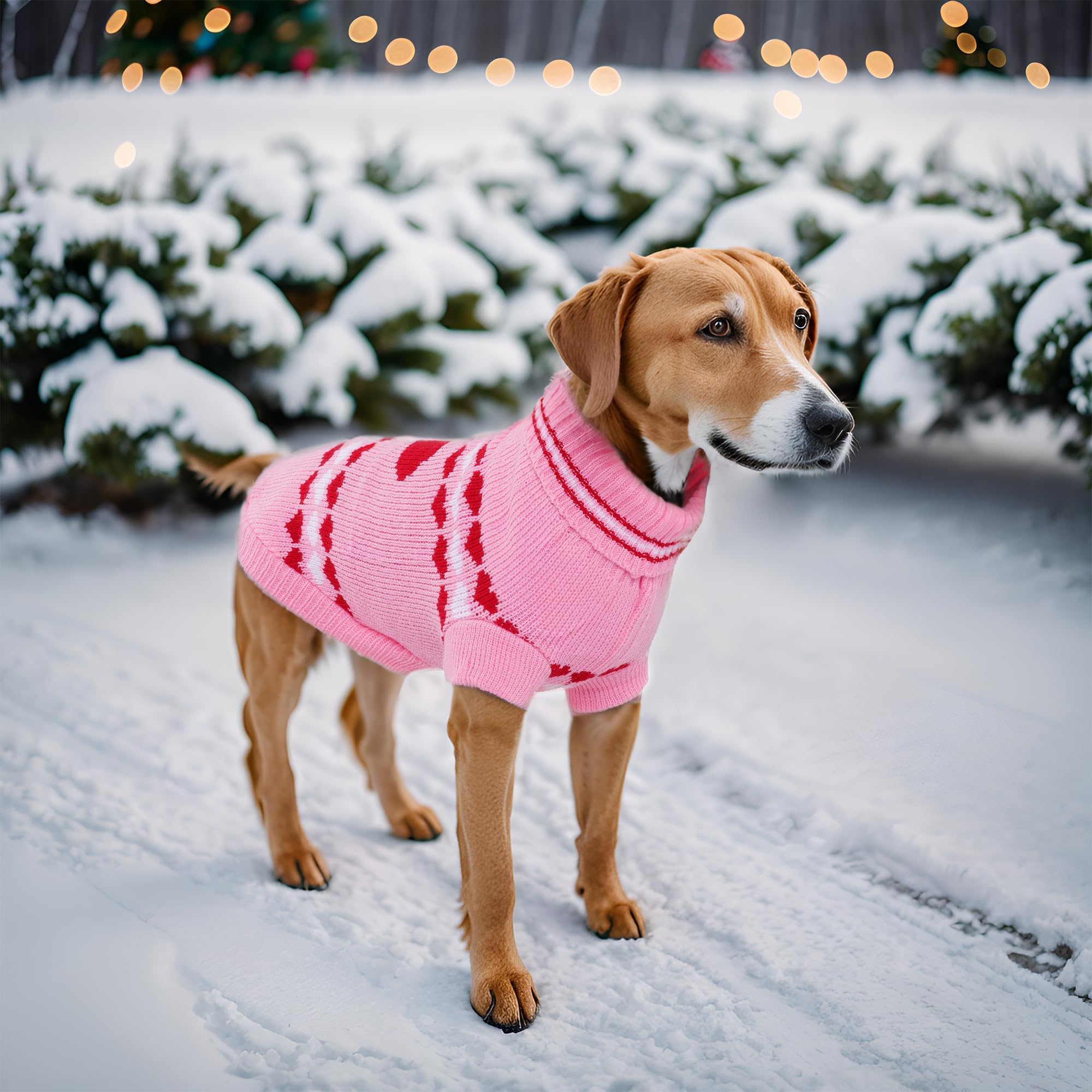 Topbuti dog sweater size L back length 46 cm for larger small breeds