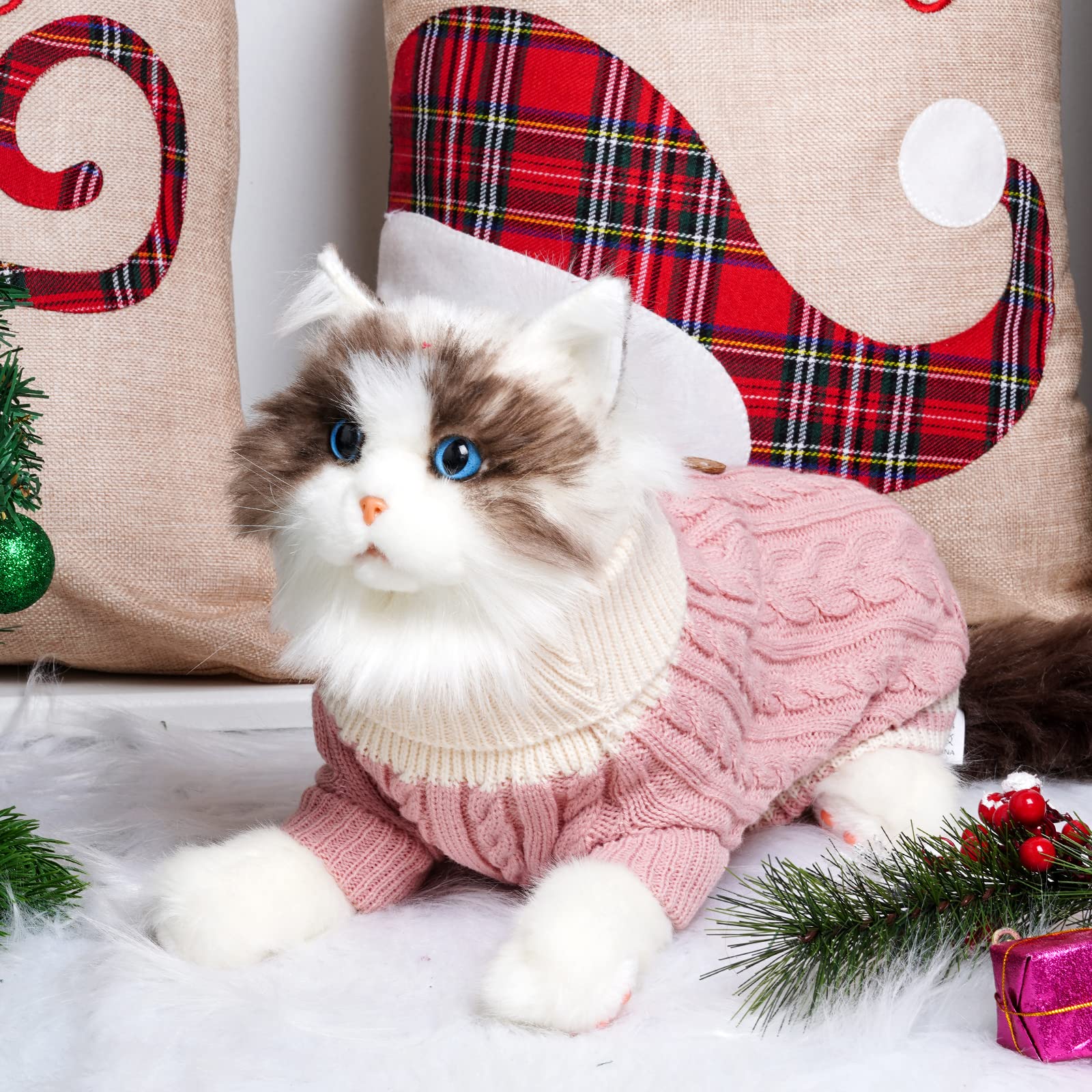 Topbuti dog sweater small-dog-fit demonstrates paw-friendly sizing for tiny breeds.