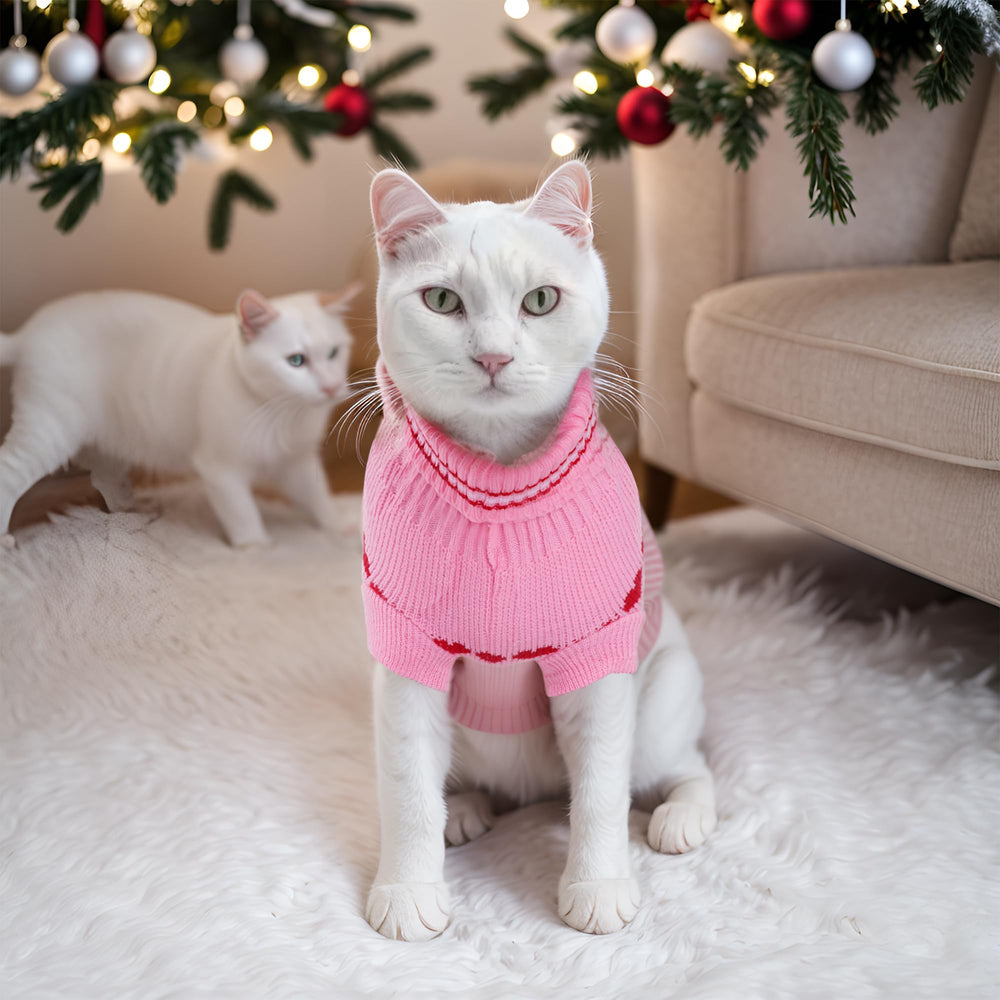 Topbuti cozy knit for daily wear and festive photos