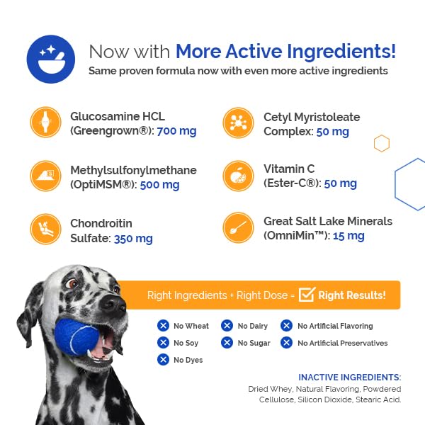 TopDog Health GlycanAid Maintenance reflects a decade of clinical use in canine joint health.