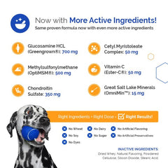 TopDog Health GlycanAid Maintenance reflects a decade of clinical use in canine joint health.