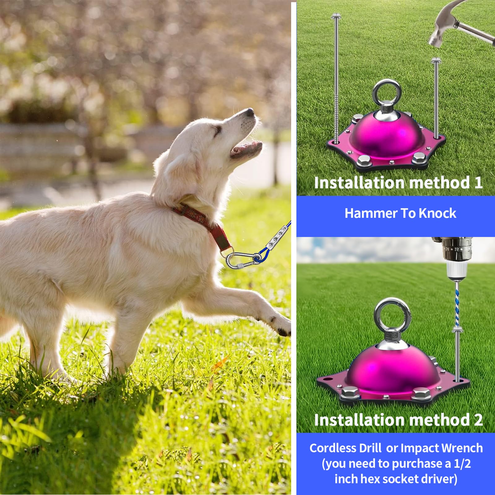 TOPKNOT detachable dog chain design offers flexible setup options