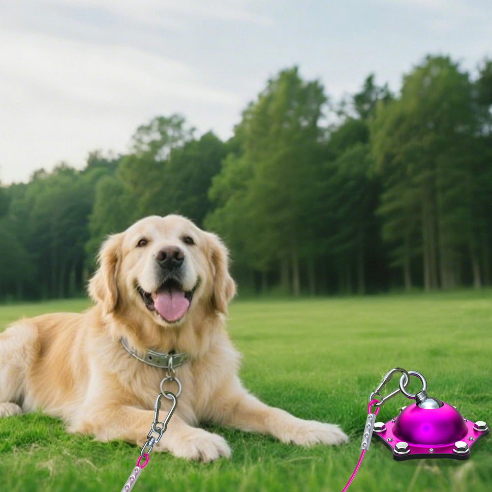 TOPKNOT heavy-duty tie-out kit suitable for large dogs