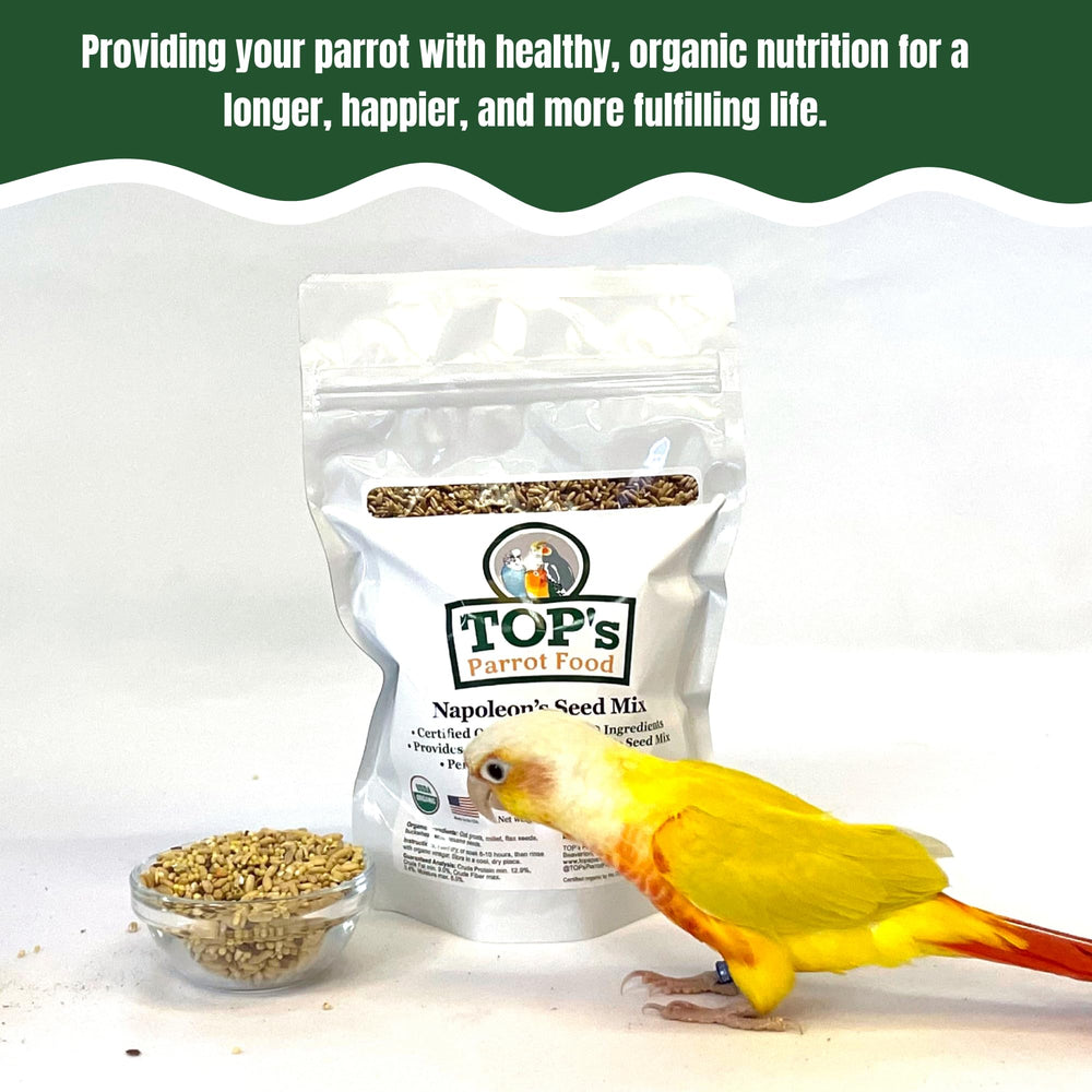 Dry Napoleon's Seed Mix ready to feed small parrots
