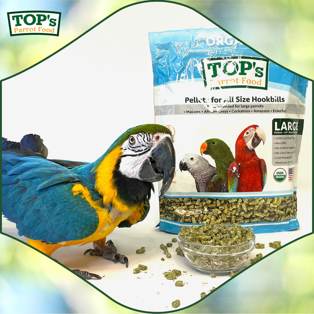 Large-bird serving: TOP's Parrot Food pellets support feeding for bigger parrots.
