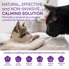 TopSum diffuser pack two enables calming in multiple rooms for multi-cat homes