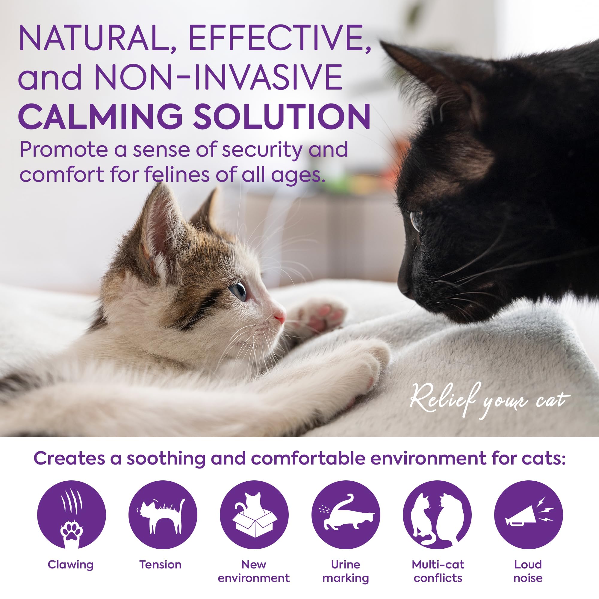 TopSum cat pheromones refill vial highlights long-lasting support for ongoing calm at home.