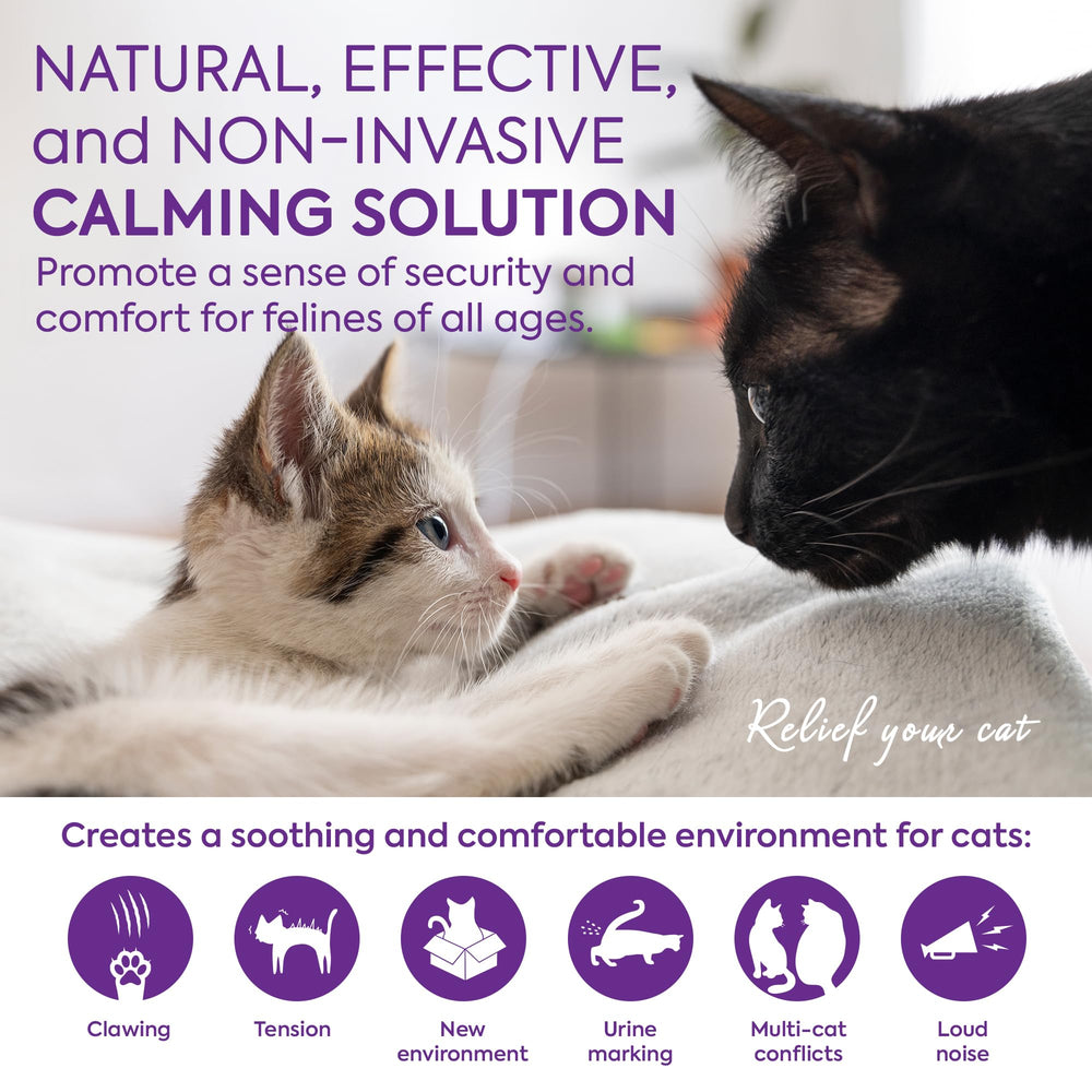 TopSum cat pheromones refill vial highlights long-lasting support for ongoing calm at home.