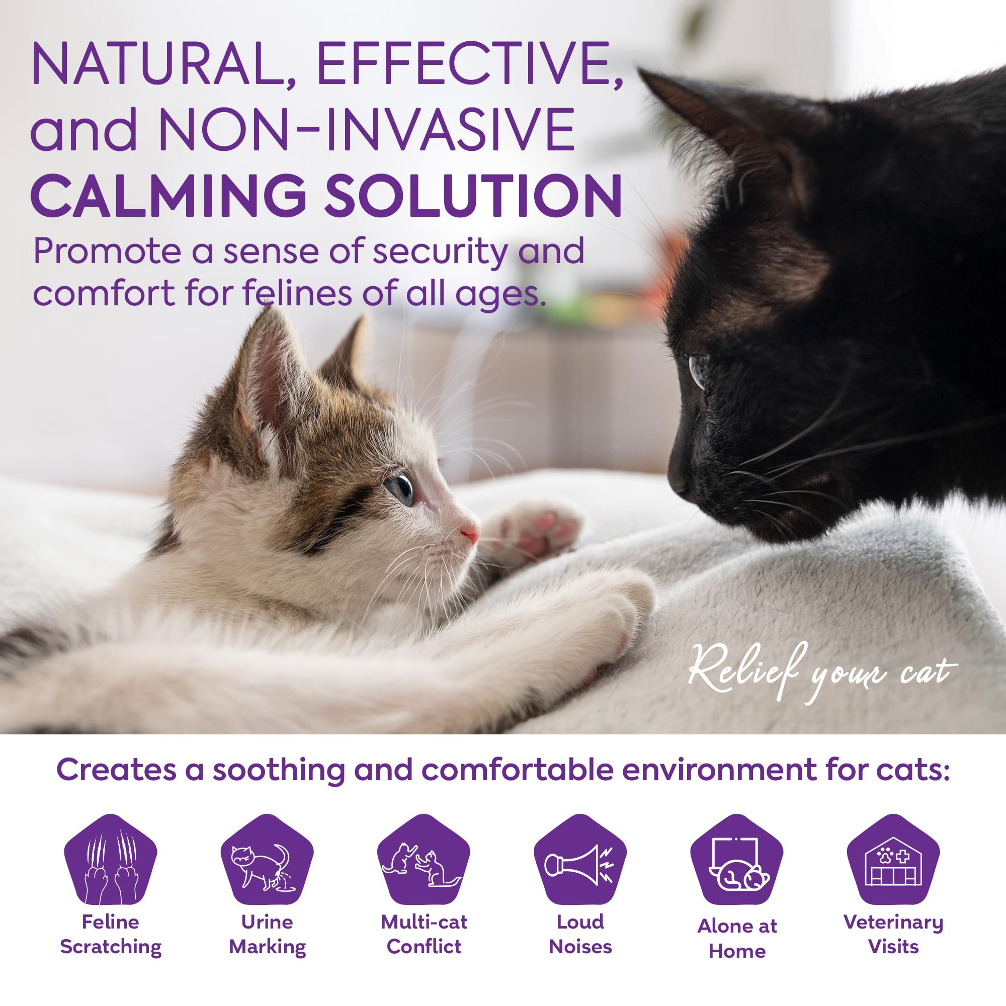 TopSum cat refill bottle close-up highlighting long-lasting option.